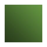 Avocado Americolor Soft Gel Paste Food Color - Bakerswish